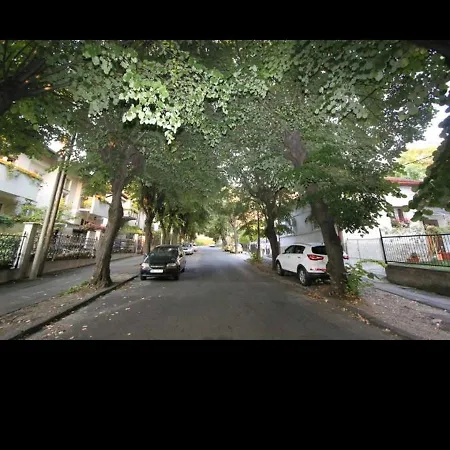 Apartment Linden