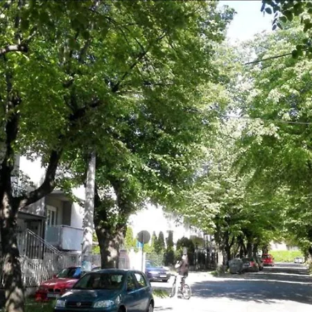 Linden